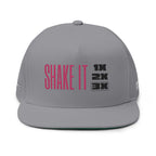 Shake It 3x – SlyGuy Snapback Hat, Grey, One Size